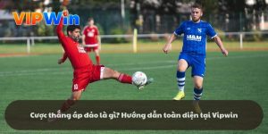Cược thắng áp đảo là gì
