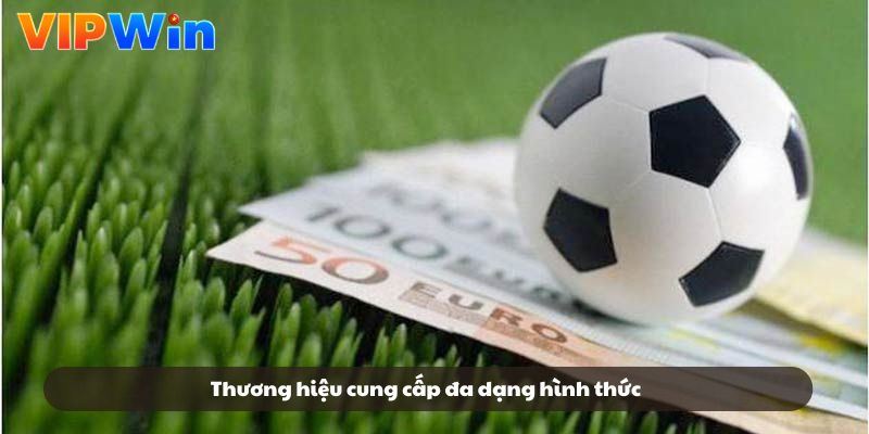 Thương hiệu cung cấp đa dạng hình thức Thương hiệu cung cấp đa dạng hình thức